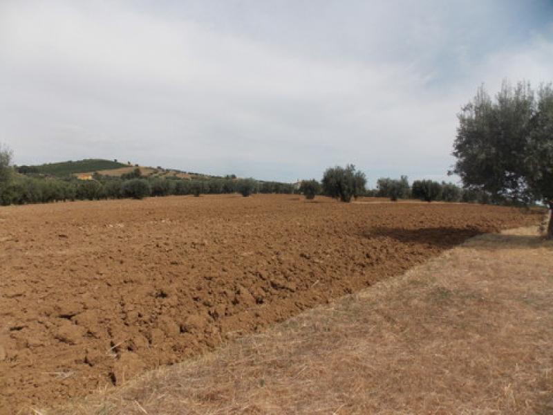 Vendesi Terreno Agricolo a Giulianova via gorizia 27