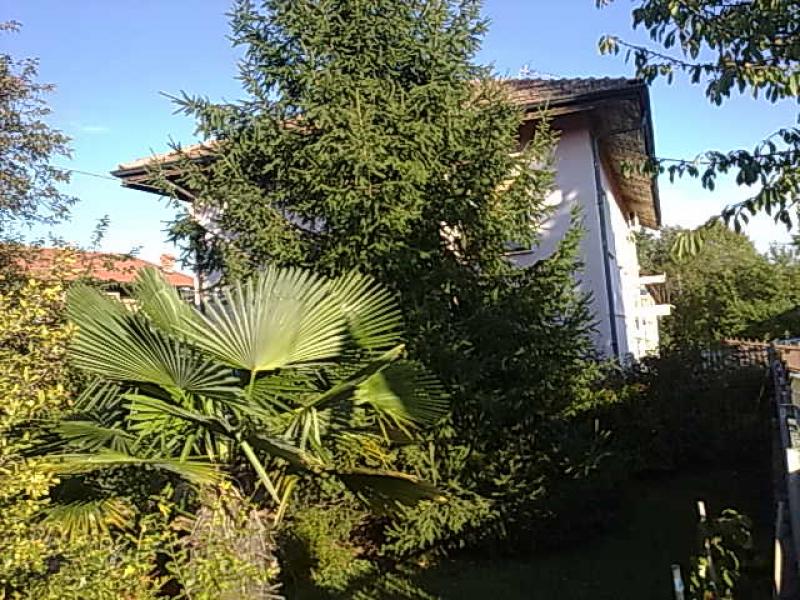 Vendesi Casa Indipendente a Villanova Canavese via chivasso