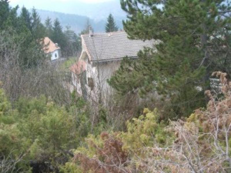 villa immersa nel verde