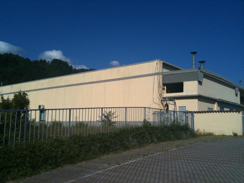 vendesi capannone artigianale/industriale 1600mq pronto all uso a villafranca in lunigiana ms