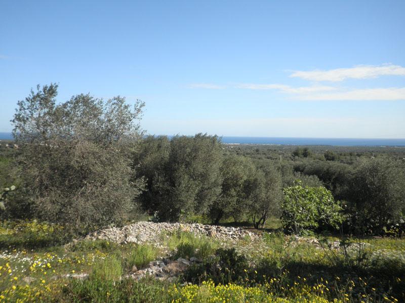 terreno con lamia vista mare mozzafiato.paesaggio splendido.