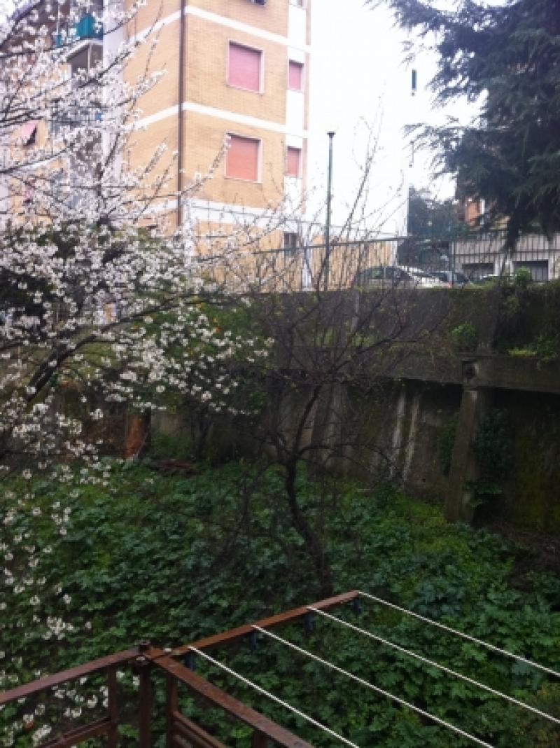 rif. 201 la scorzaspvani 2,5,mq 50,ottimo stato,balcone