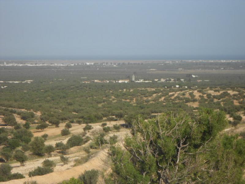 Vendesi Terreno Agricolo  Boufiscia