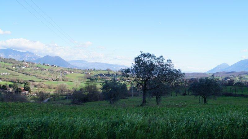 terreno panoramico con rudere