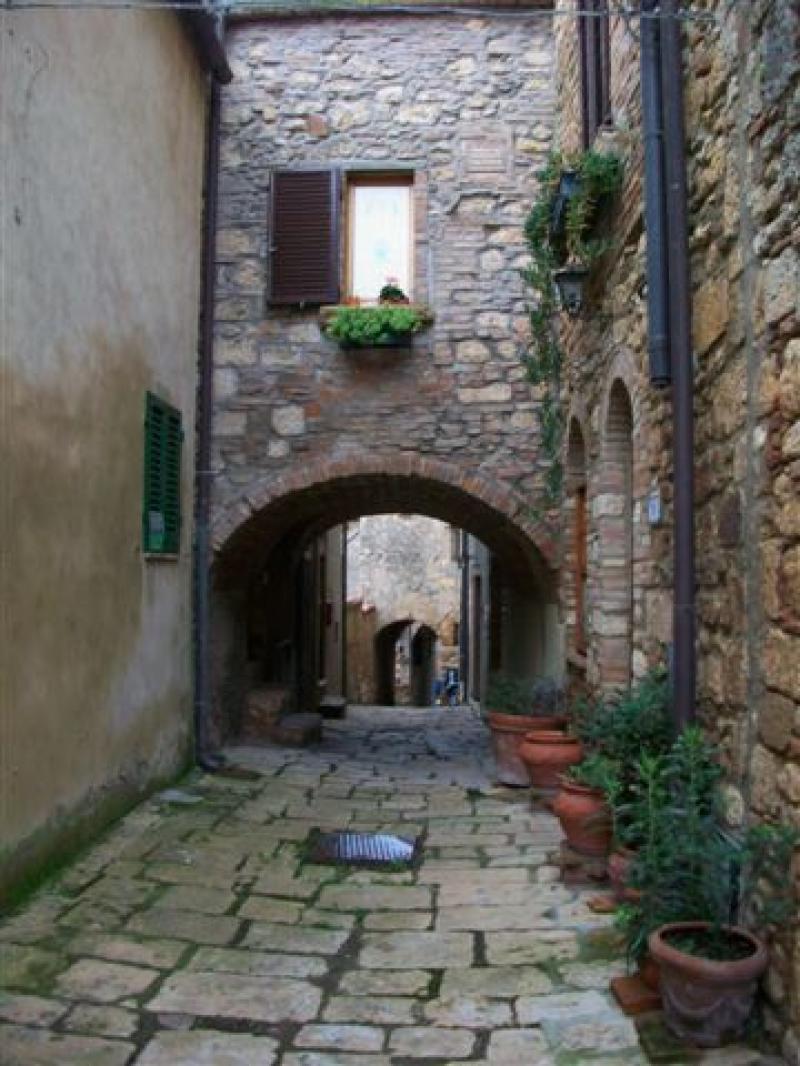 bibbona - appartamento - vendita