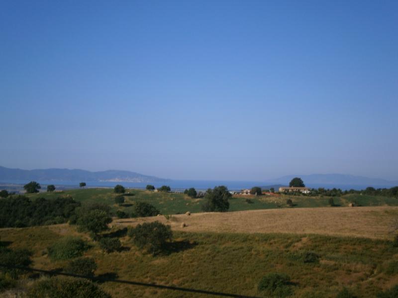 Vendesi Terreno Agricolo a Magliano in Toscana magliano in toscana