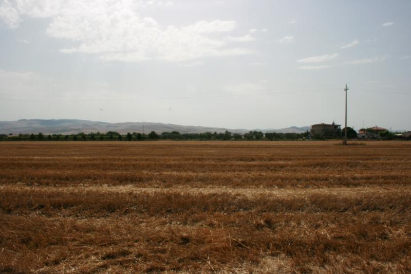 occasione: vendita terreno agricolo di 6 ettari a candela fg