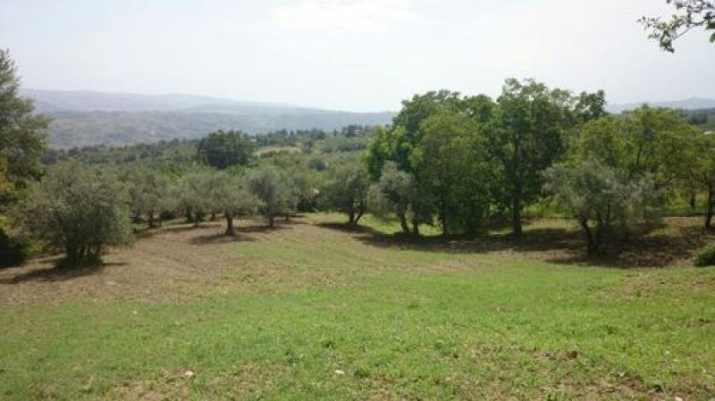 Vendesi Terreno Agricolo a San Mango sul Calore pauzone 