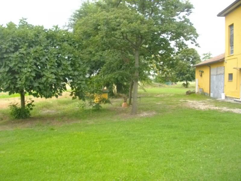 casa colonica con terreno