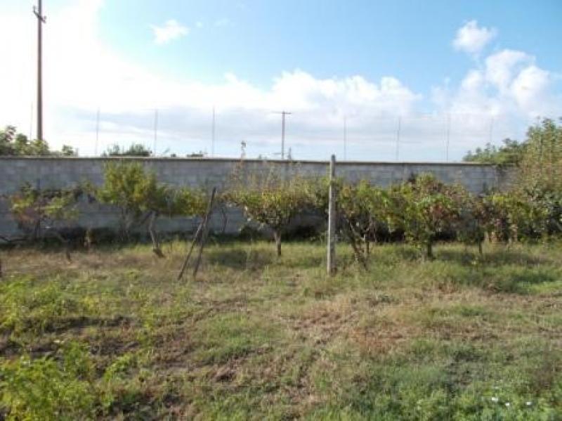 terreno agricolo