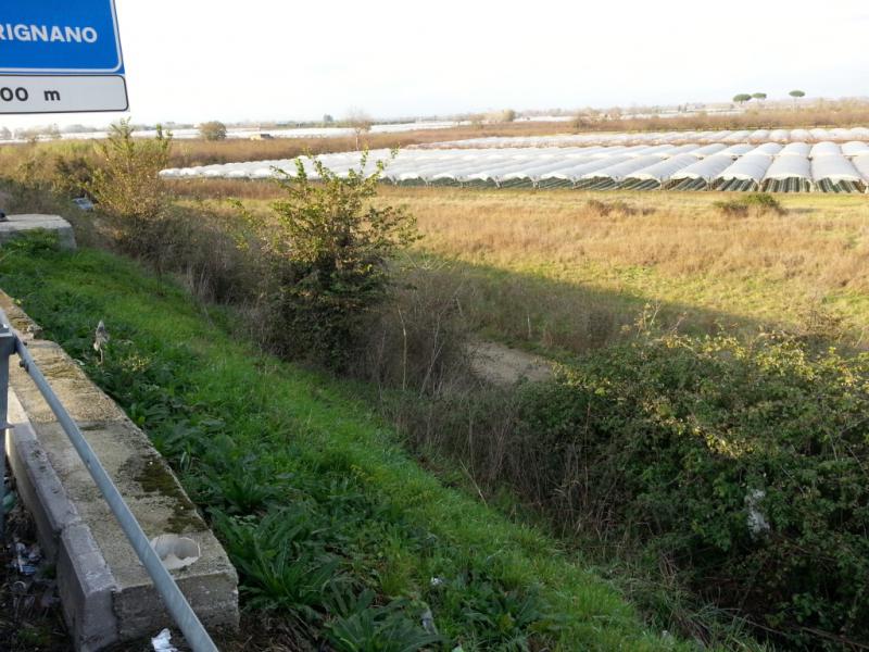 Vendesi Terreno Agricolo a Frignano laterale superstrada asse mediano villa literno   nola