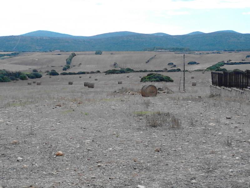 azienda agricola