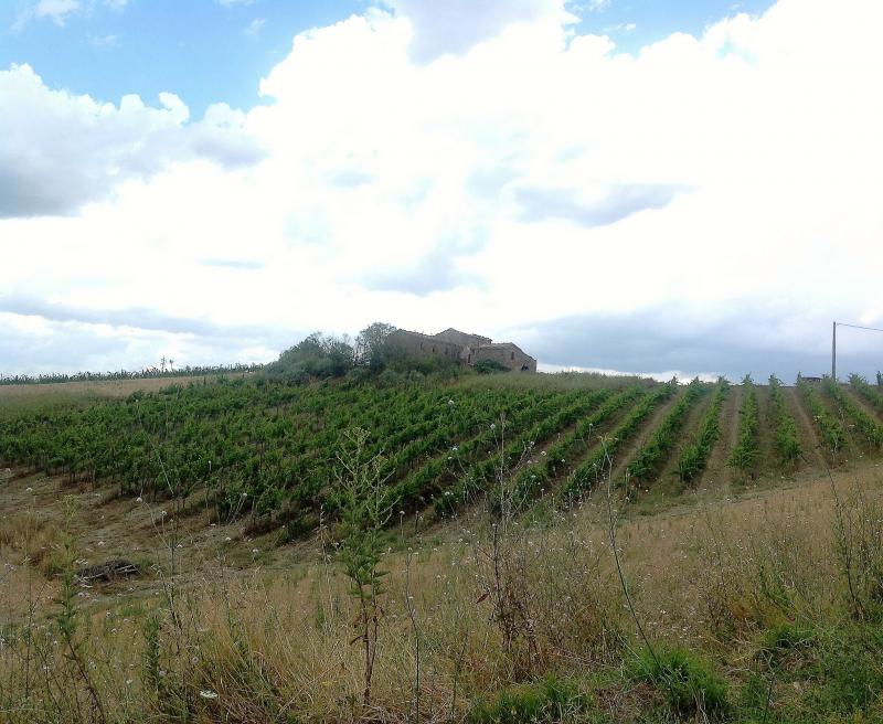 az27 - azienda agricola di 30 ha nei pressi di montalcino