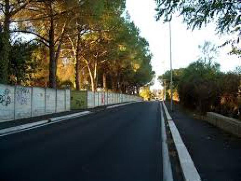 terreno bellissimo per parco avventura o strutture varie