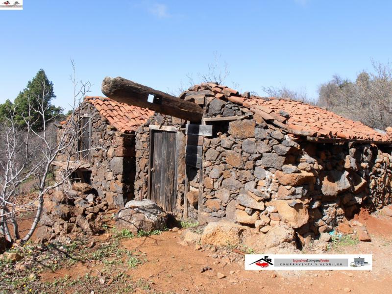 127 t terreno rustico para soñar en un paraÃso terreno rustico de 57.150m² de superficie preparado para el cultivo e viña isla la palma