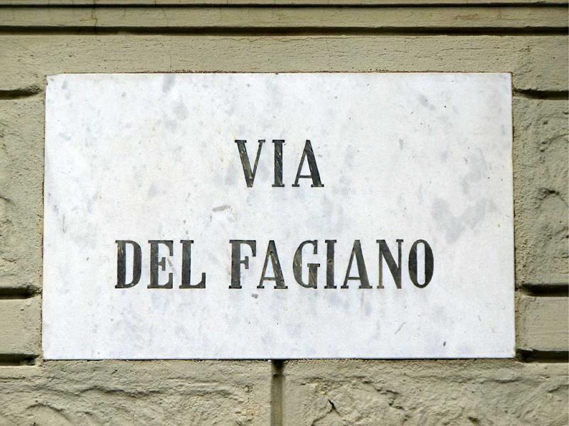 fagiano piano alto 2 camere 2 bagni p.a. garage