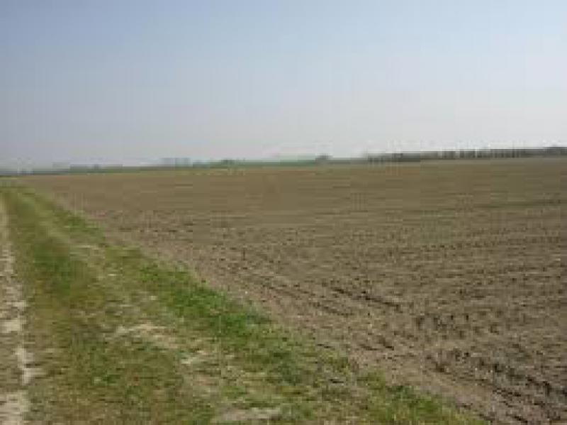 nurra di sassari cerchiamo in vendita terreni e aziende agricole !!!