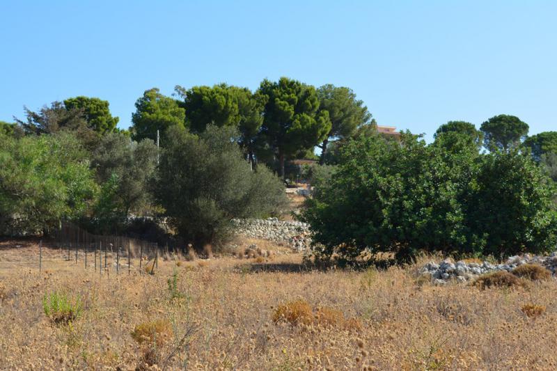terreno in vendita vista mare