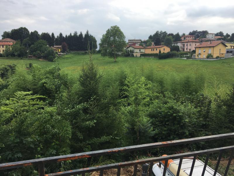 trilocale in affitto ad olgiate comasco