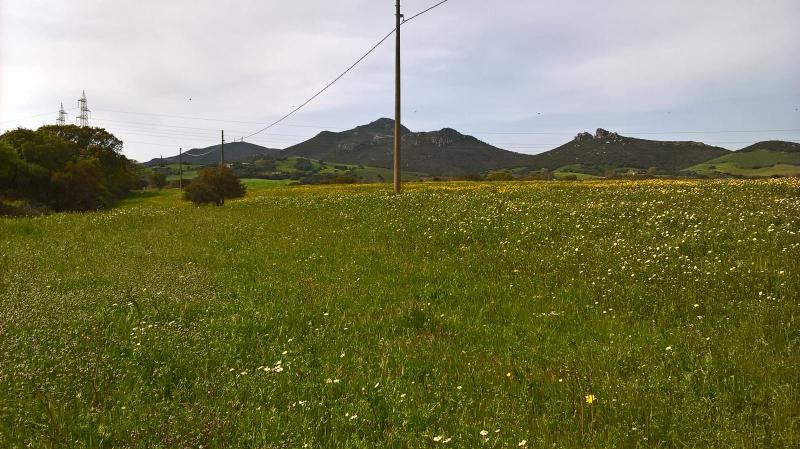 terreno seminativo di ettari 5,5.