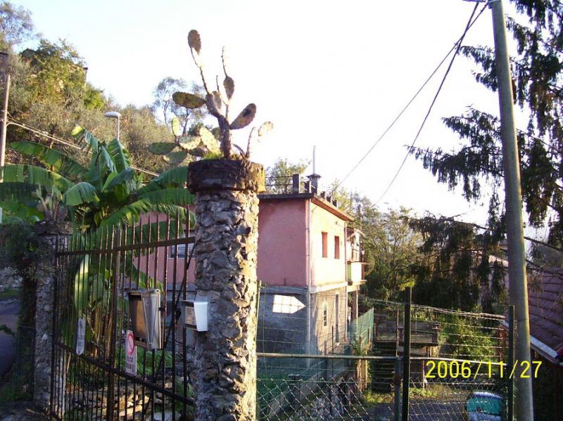 vendo sulle colline di rapallo ge