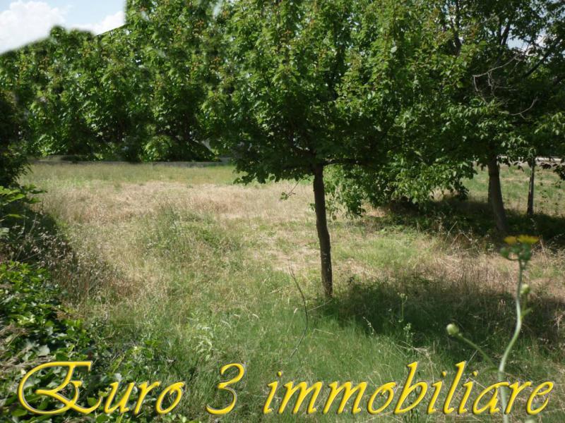 ascoli piceno-casa singola con giardino