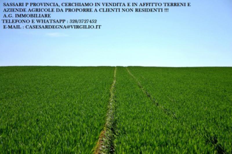 olmedo cerchiamo in vendita terreni e aziende agricole da proporre a non residenti !!!