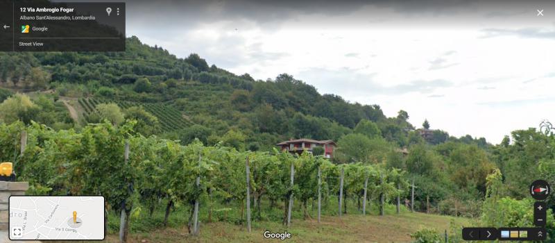 terreno vigneto x futura residenza imprenditore agricolo