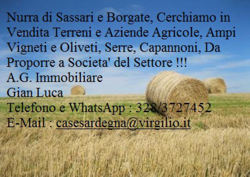 nurra di sassari e borgate cerchiamo in vendita terreni e aziende agricole per clienti non residenti !!!
