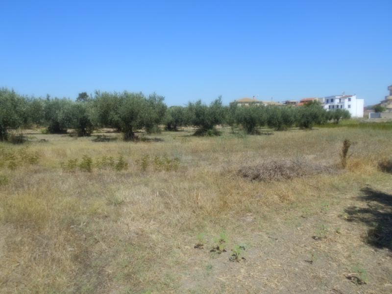 terreno edificabile di circa mq 2000