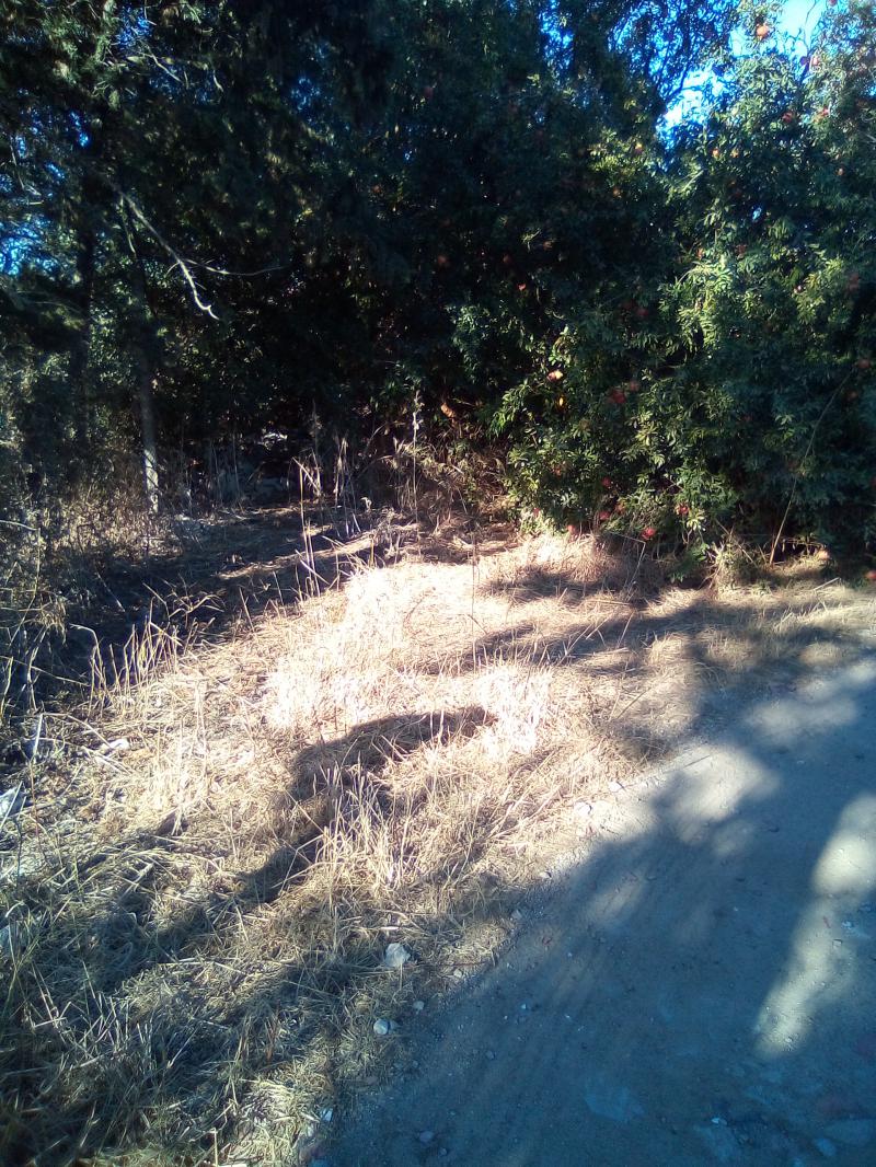 cedesi a privati o enti pubblici terreno zona g