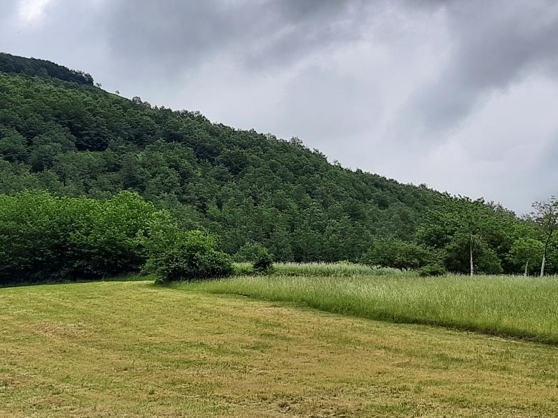 Vendesi Terreno Agricolo a Serravalle di Chienti frazione di acquapagana